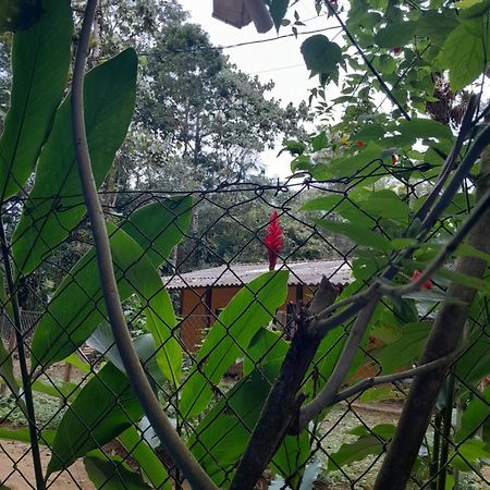 Sitio Das Bromelias Cachoeira Do Tombador อูบาตูบา ภายนอก รูปภาพ