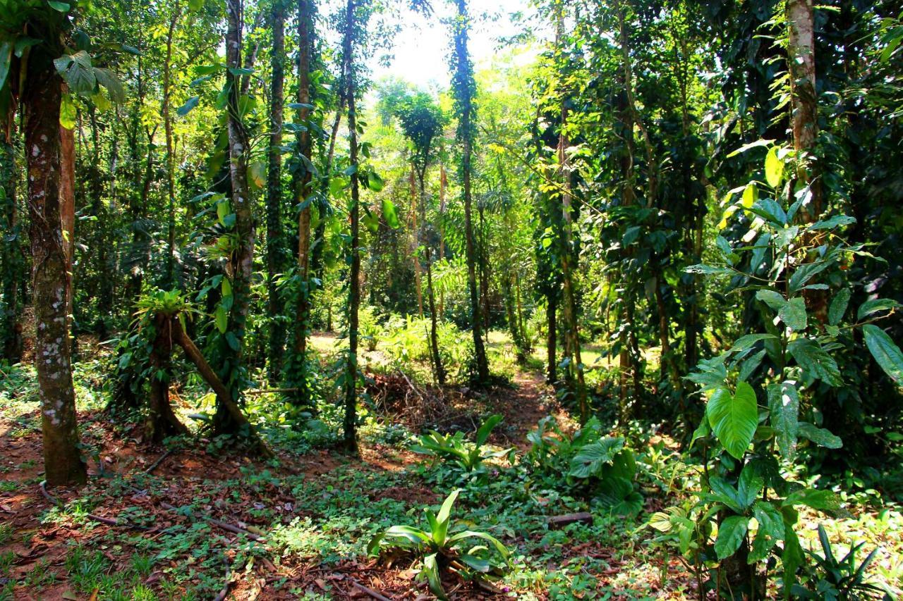 Sitio Das Bromelias Cachoeira Do Tombador อูบาตูบา ภายนอก รูปภาพ