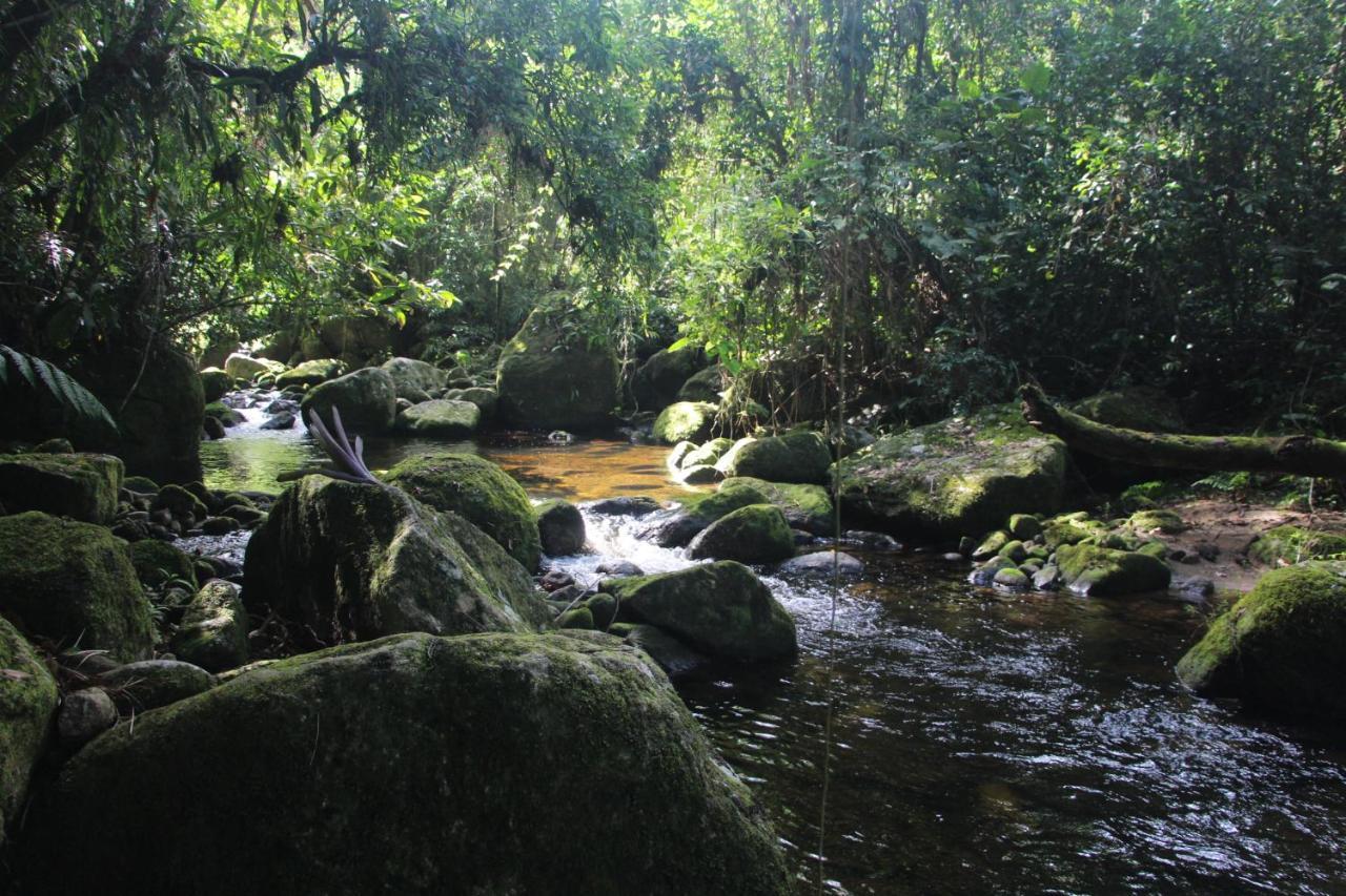 Sitio Das Bromelias Cachoeira Do Tombador อูบาตูบา ภายนอก รูปภาพ