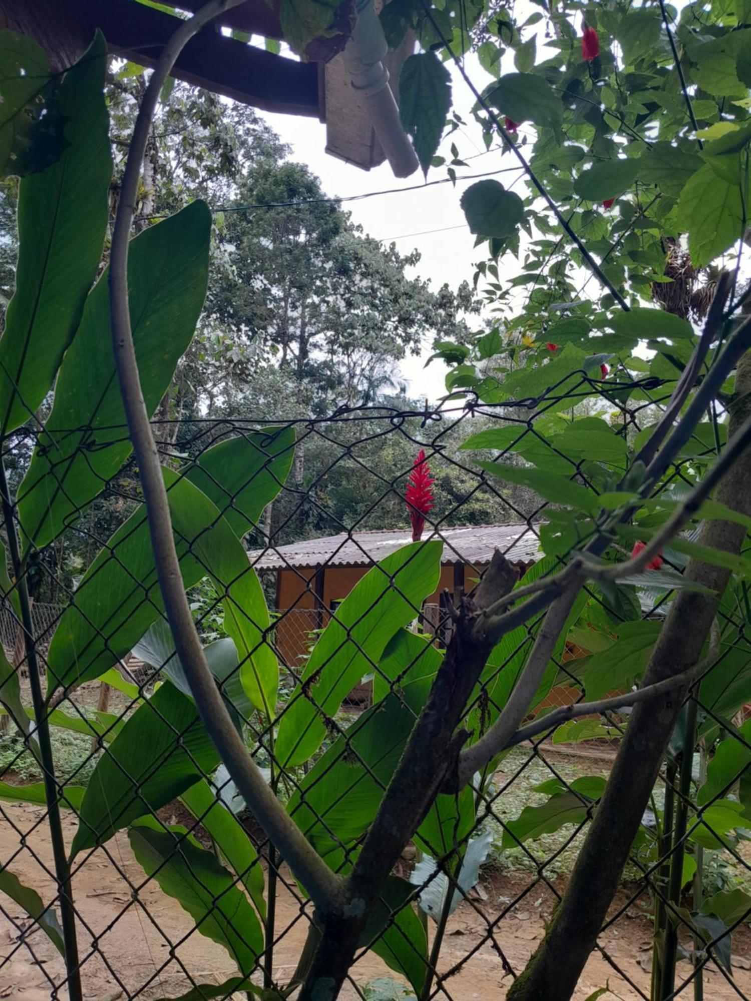 Sitio Das Bromelias Cachoeira Do Tombador อูบาตูบา ภายนอก รูปภาพ