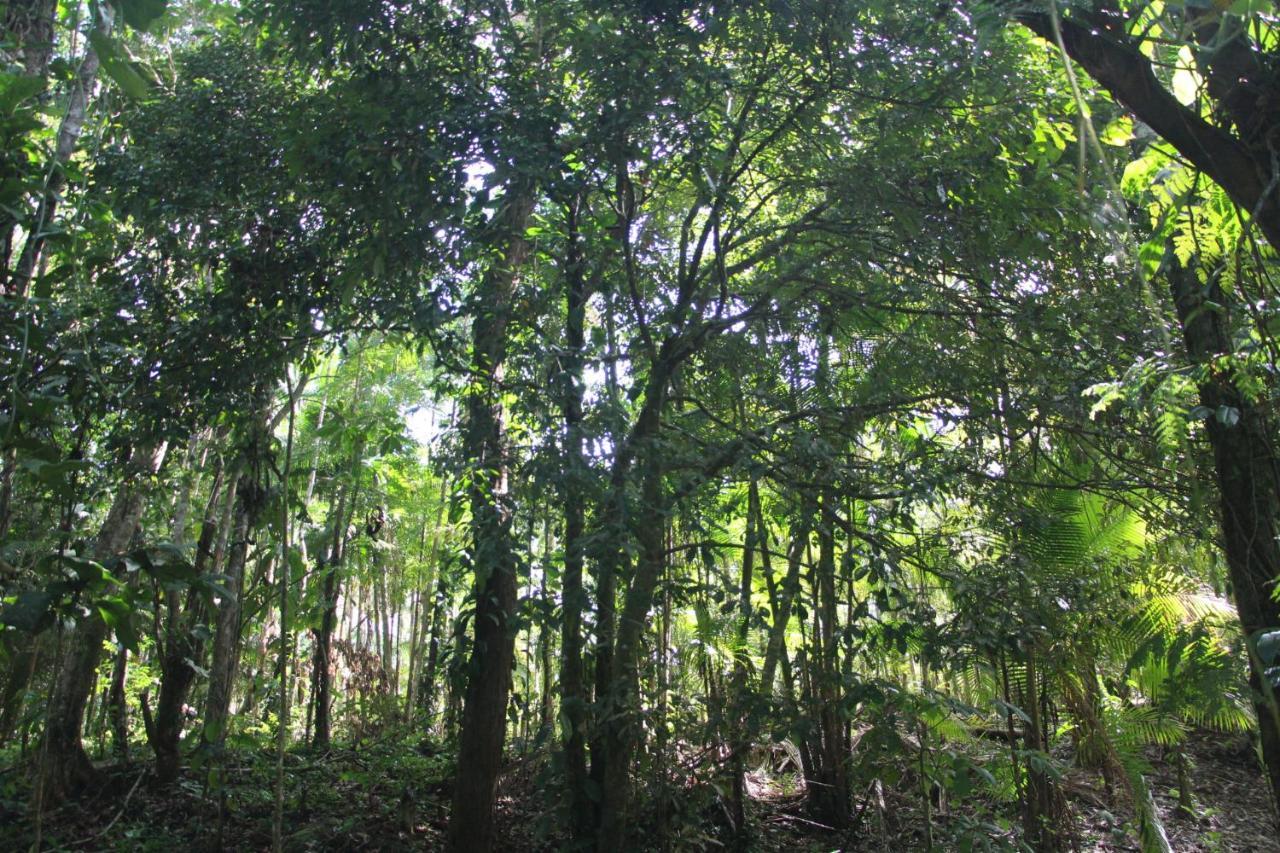 Sitio Das Bromelias Cachoeira Do Tombador อูบาตูบา ภายนอก รูปภาพ