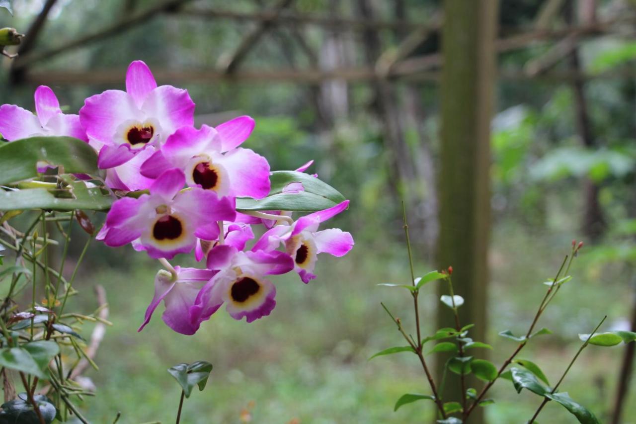 Sitio Das Bromelias Cachoeira Do Tombador อูบาตูบา ภายนอก รูปภาพ